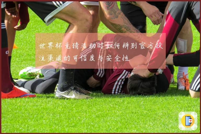 世界杯竞猜活动时如何辨别官方投注渠道的可信度与安全性