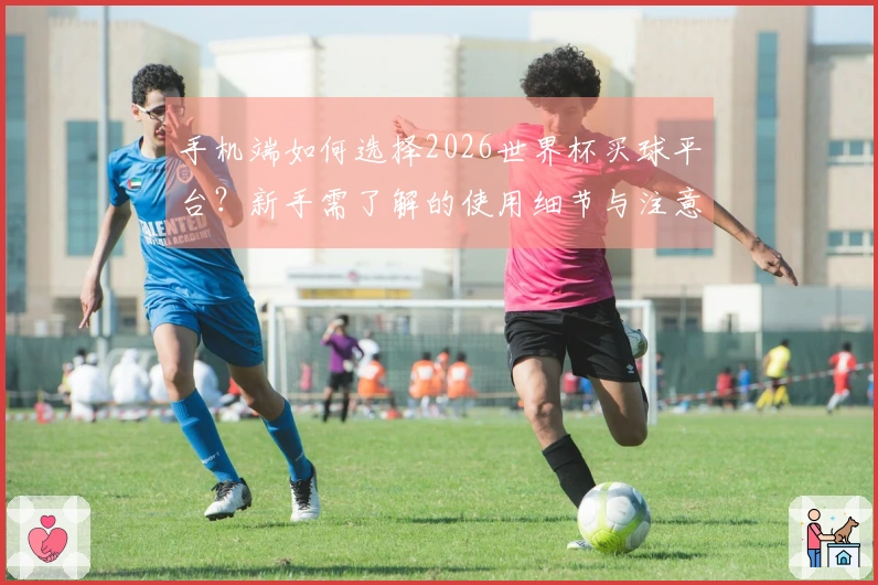 手机端如何选择2026世界杯买球平台？新手需了解的使用细节与注意事项