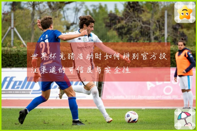 世界杯竞猜活动时如何辨别官方投注渠道的可信度与安全性