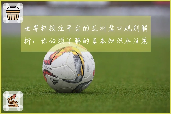 世界杯投注平台的亚洲盘口规则解析，你必须了解的基本知识和注意事项